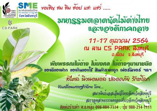 #มหกรรมตลาดนัดไม้ด่างไทย และของดีภาคกลาง